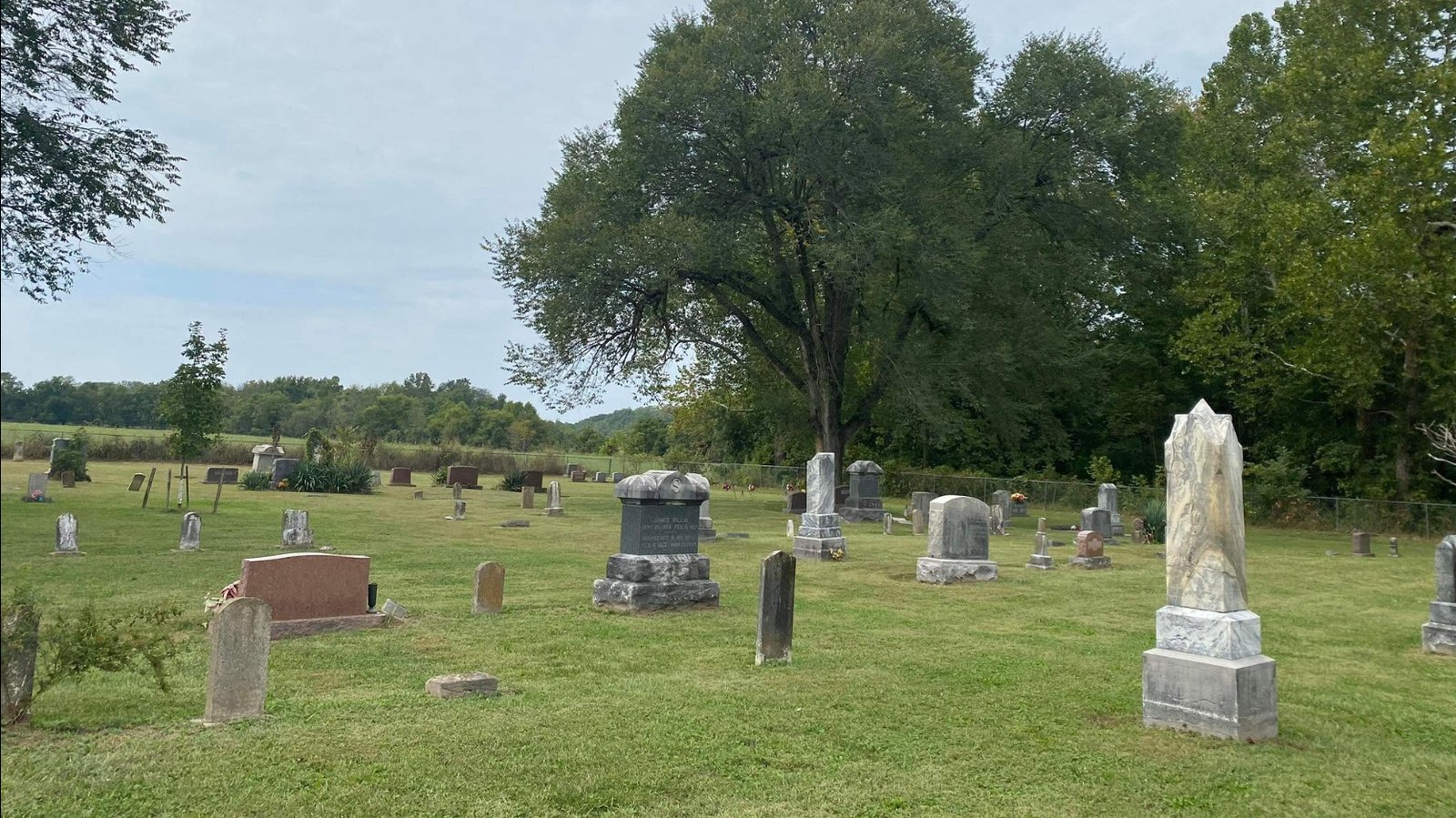 Headstones standing in mown grass under a large tree at Williams Graveyard, with open pasture and timber beyond the fence.